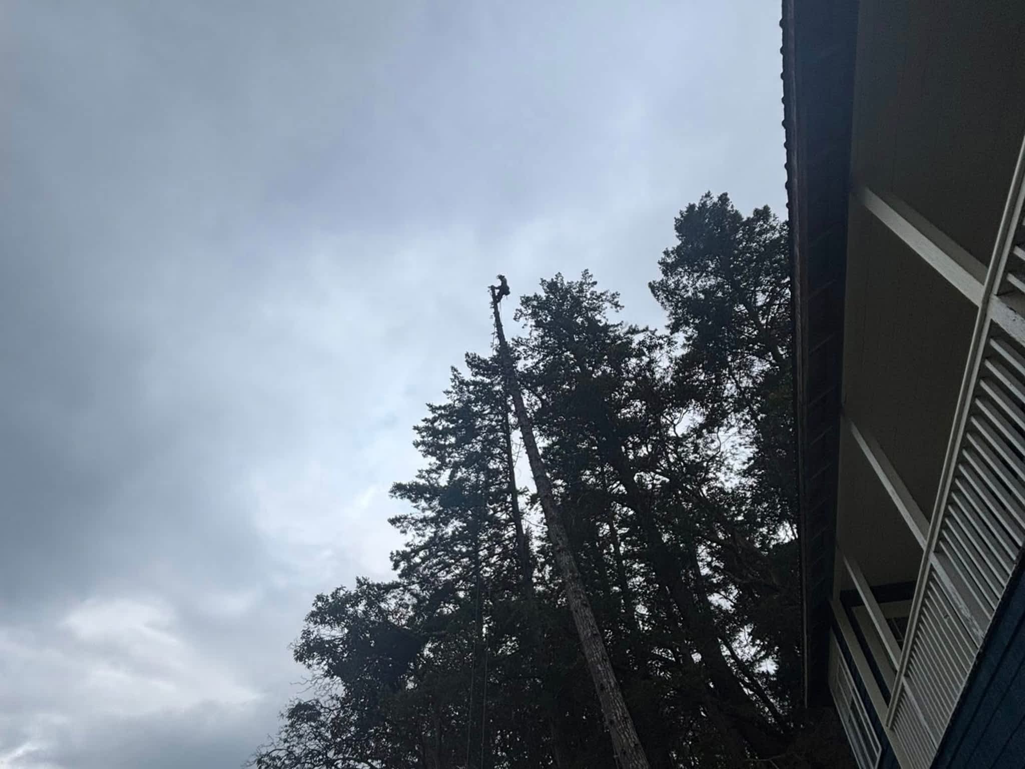 photo Valhalla Falling & Tree Services