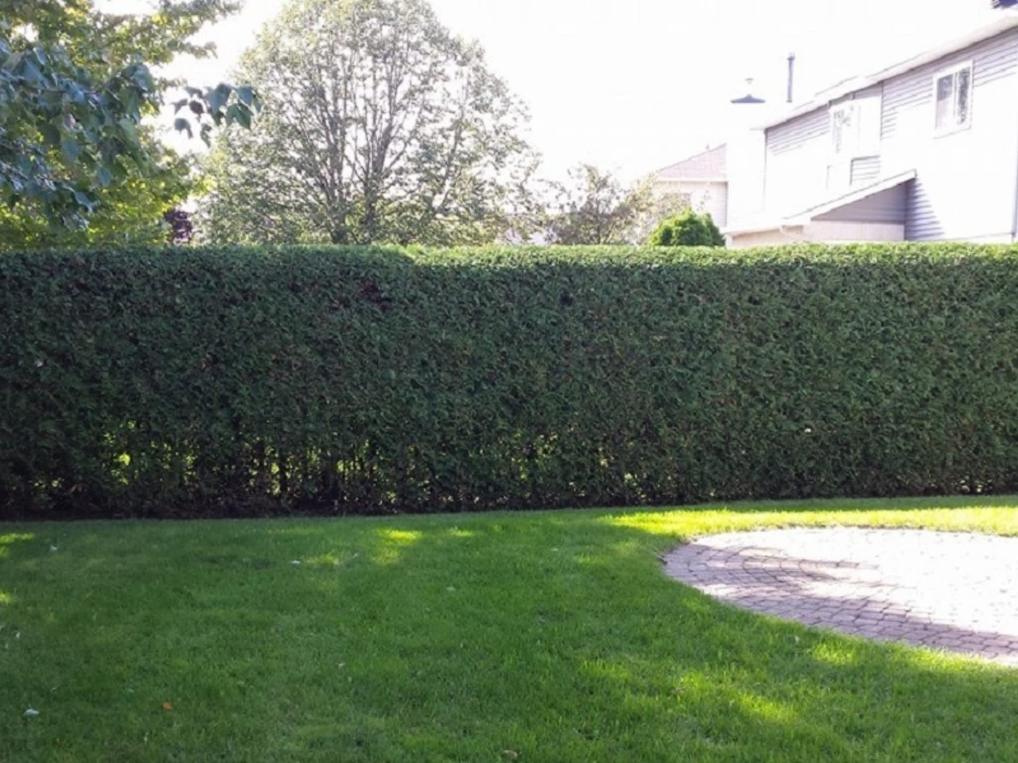 photo Green Machine Ottawa Hedge Trimming