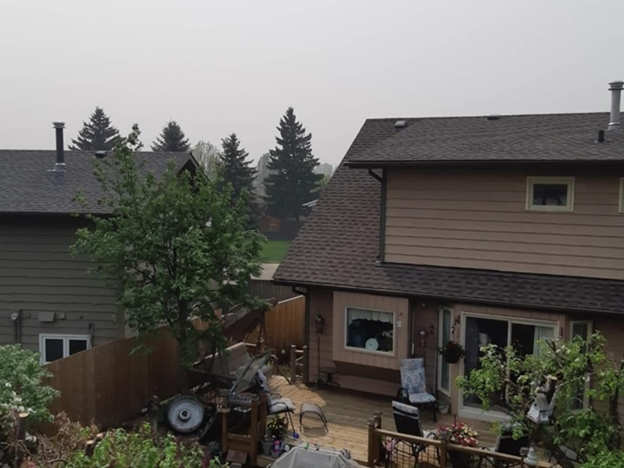 photo Vertical Limits Tree Care