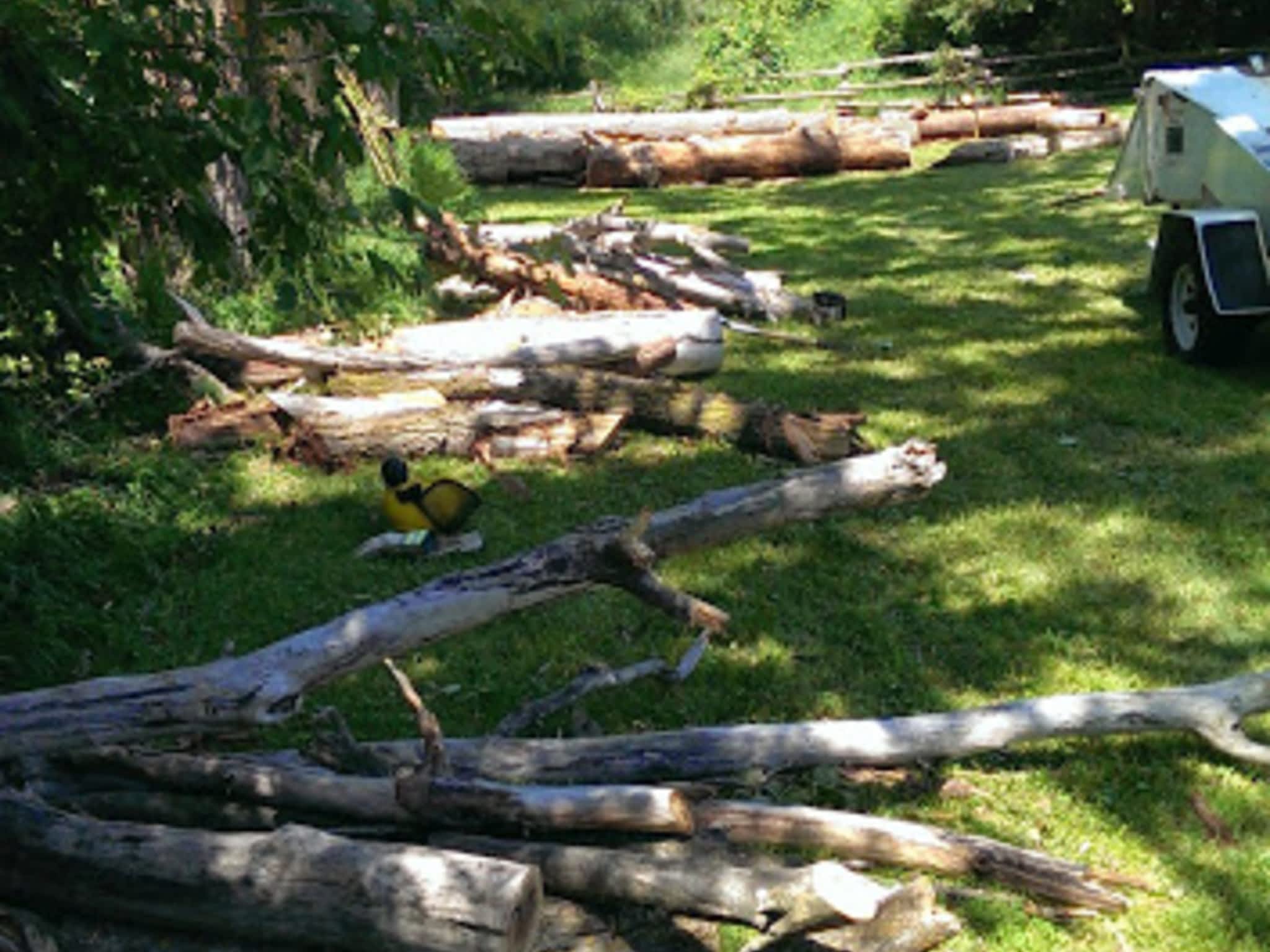 photo Clear View Tree Service