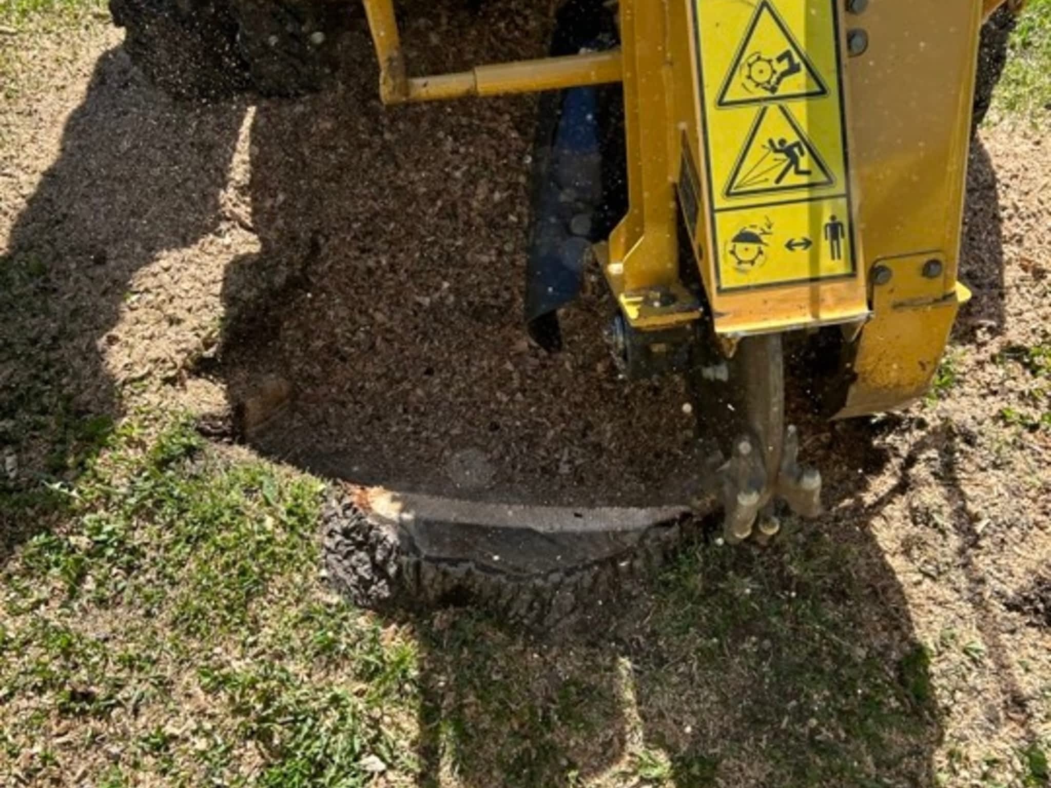 photo Arboriculture DB Inc.