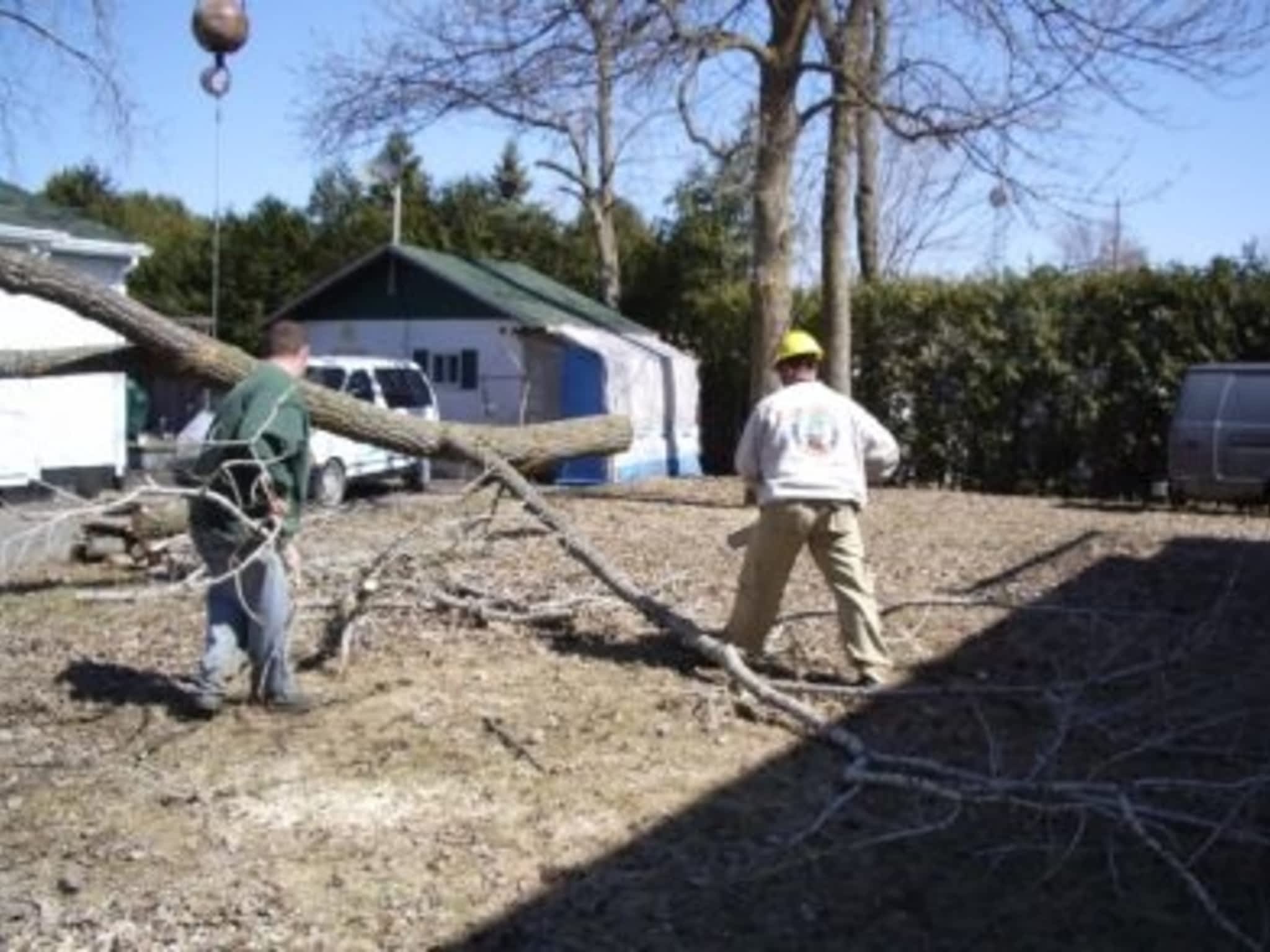 photo Service D'Arbres Marco