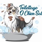 Toilettage O Chien Sale - Pet Grooming, Clipping & Washing