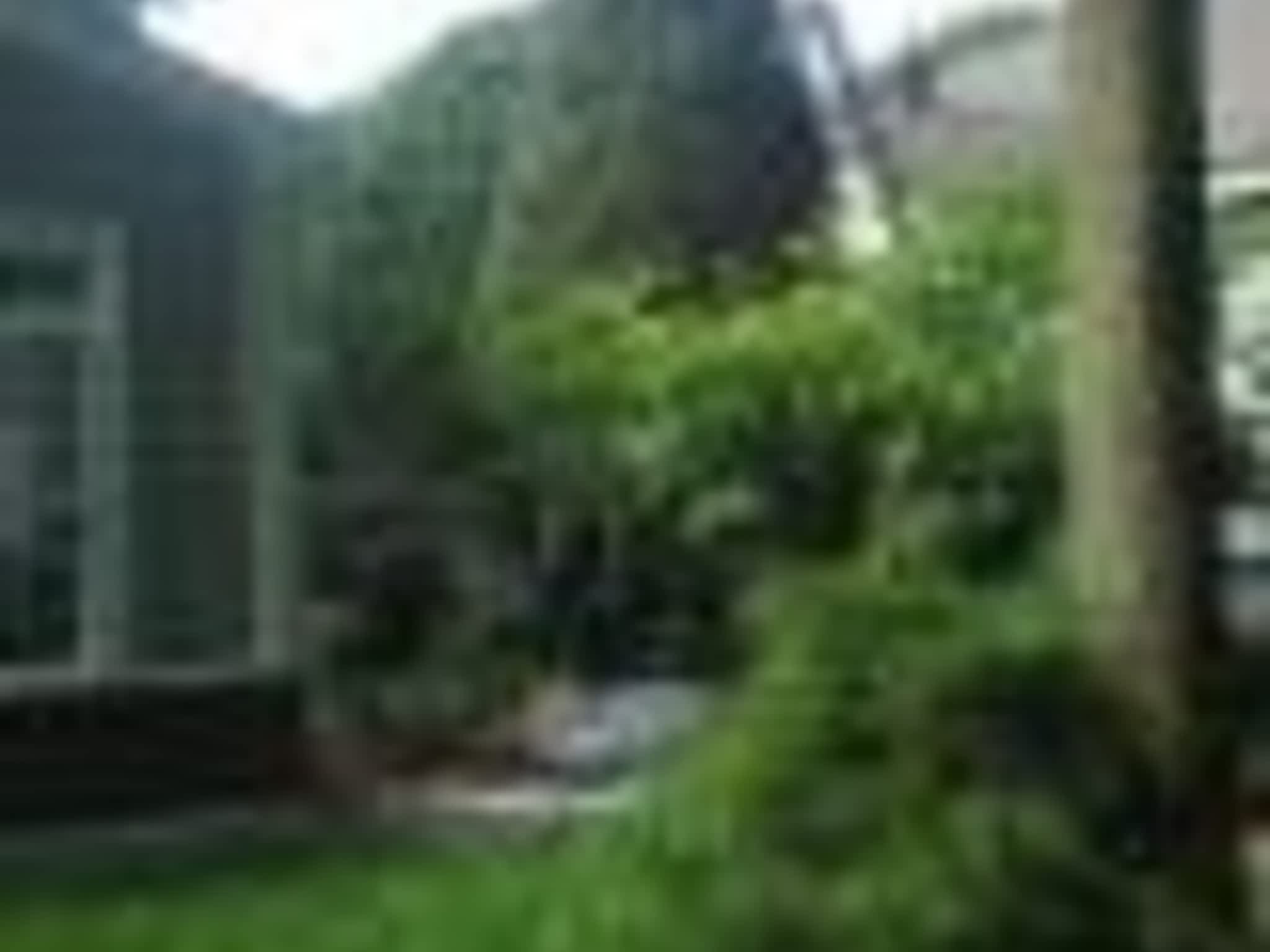 photo Taillage Compétitif CB