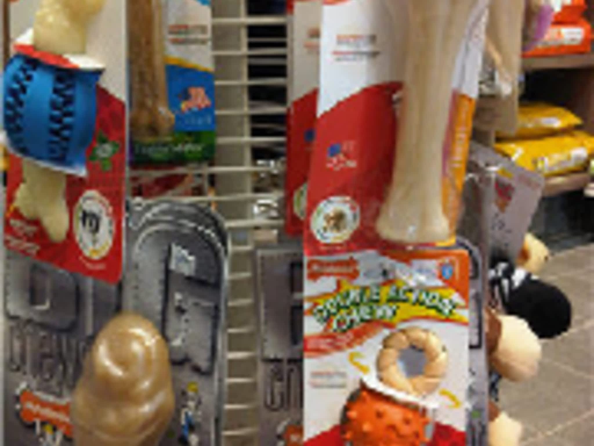 photo Middleton Veterinary Services