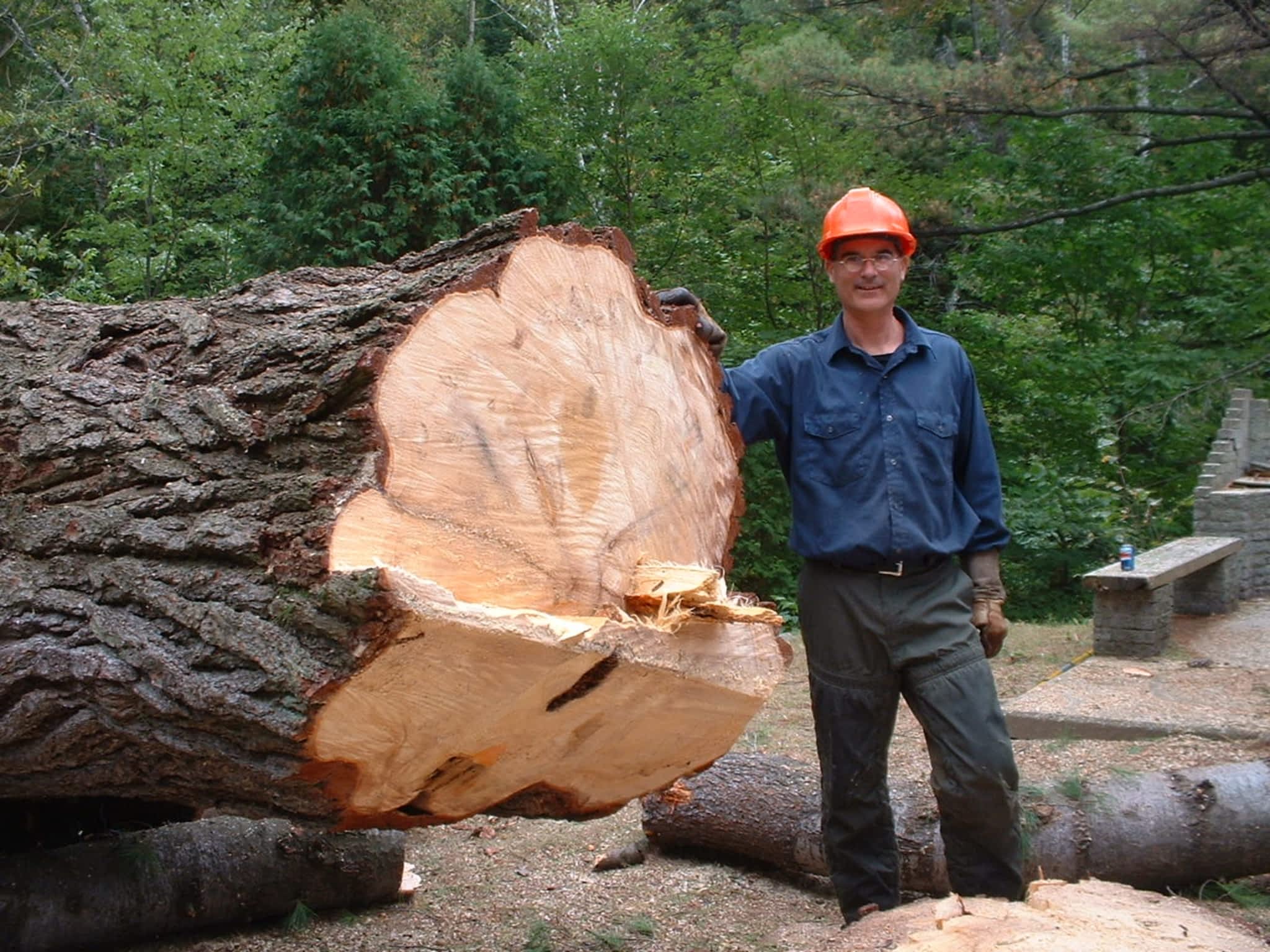 photo Sainte-Julienne's Tree Pruning and Felling