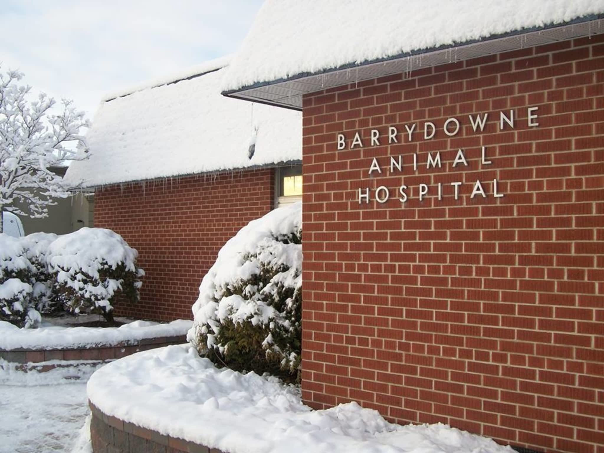 photo Barrydowne Animal Hospital