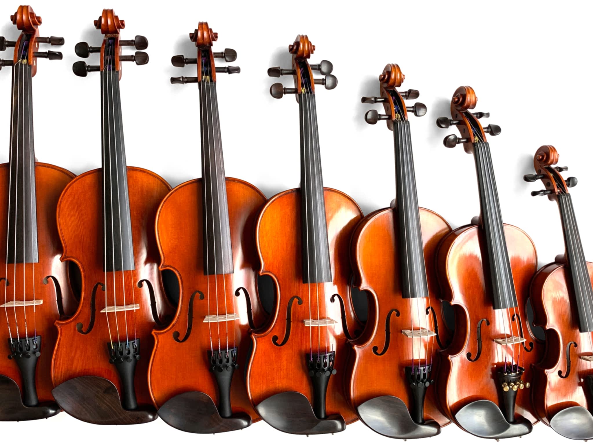 photo Fiddleheads Violin Studio