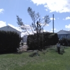 Les Entreprises A. Ferland Inc - Tree Service