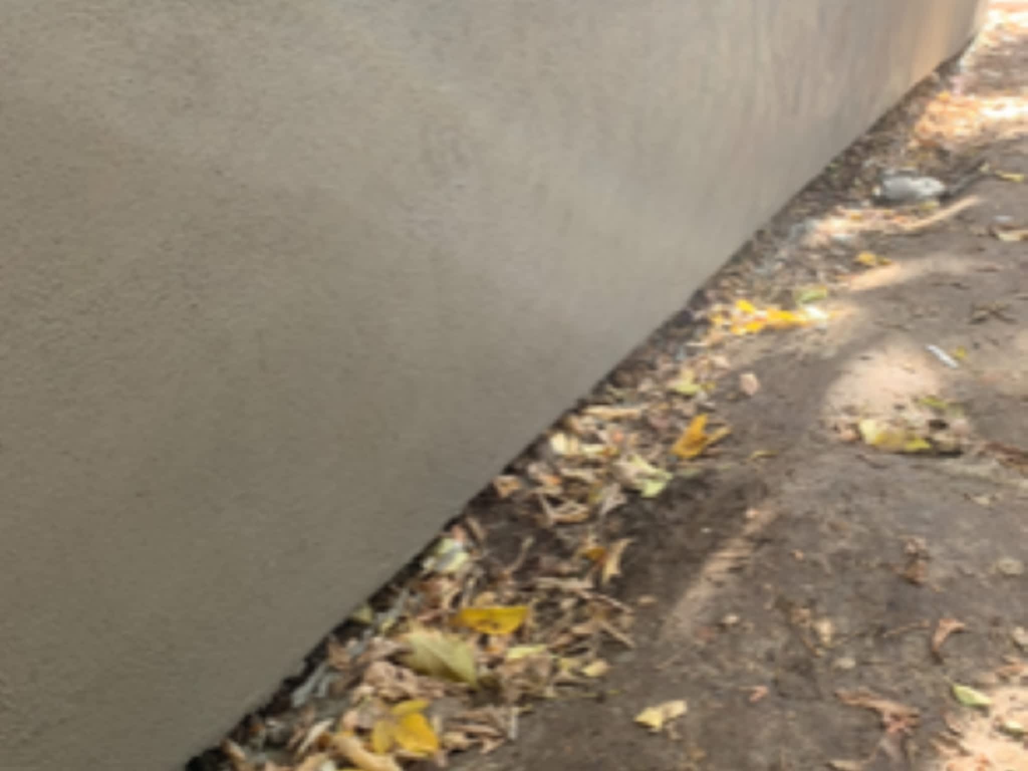 photo John's Construction