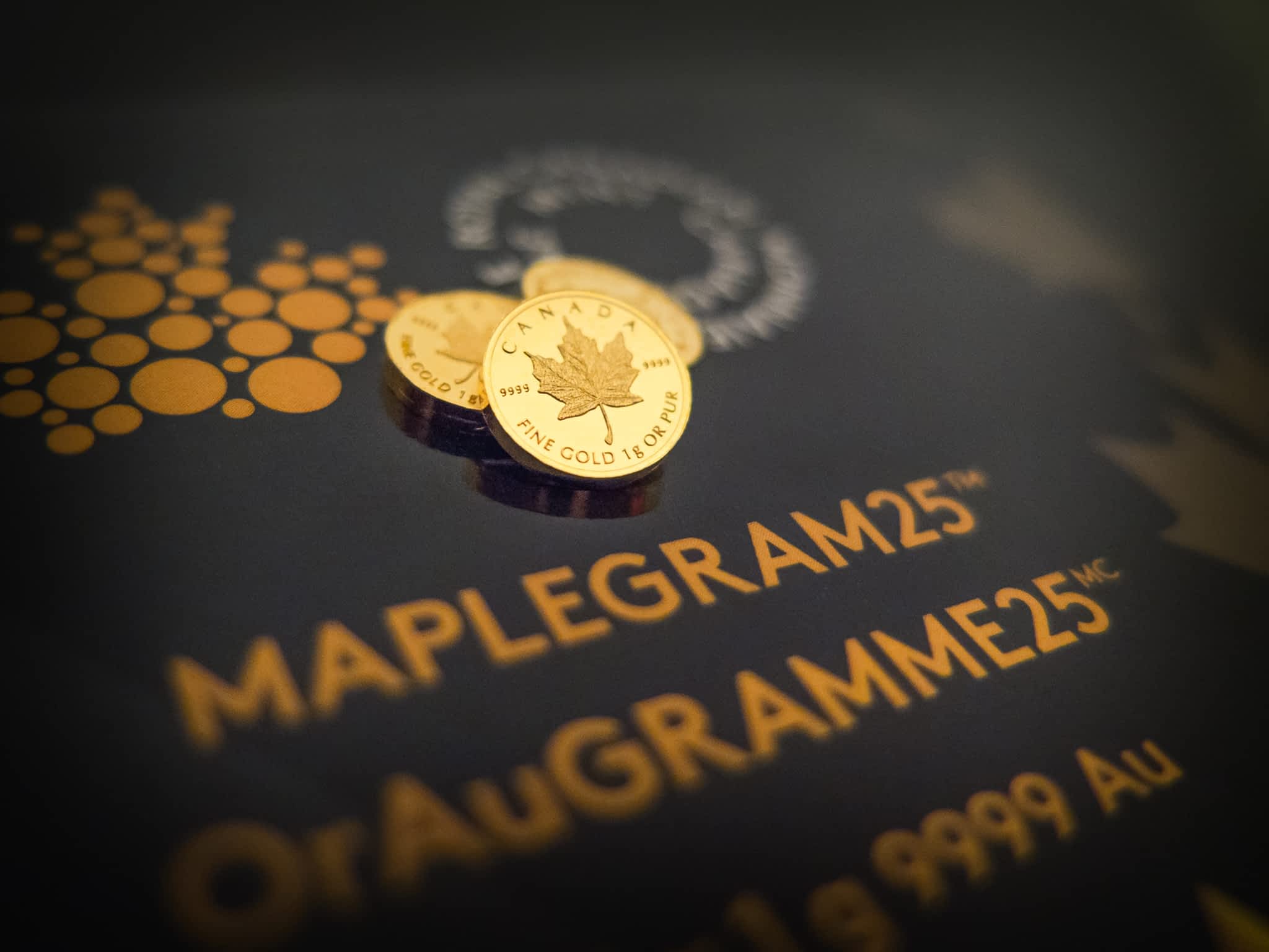 photo Border Gold Corp