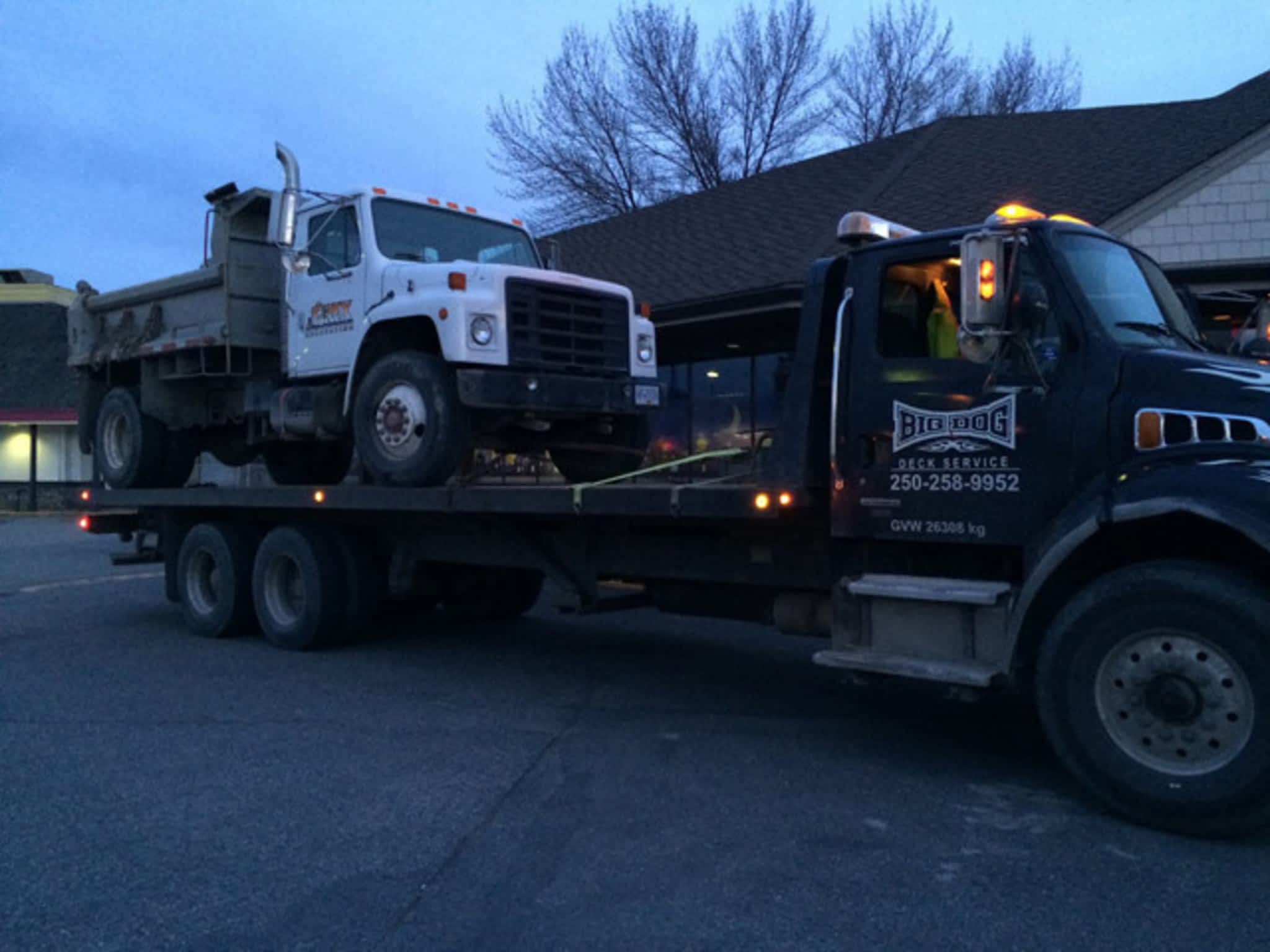 photo T-Rex Excavating & Demolition