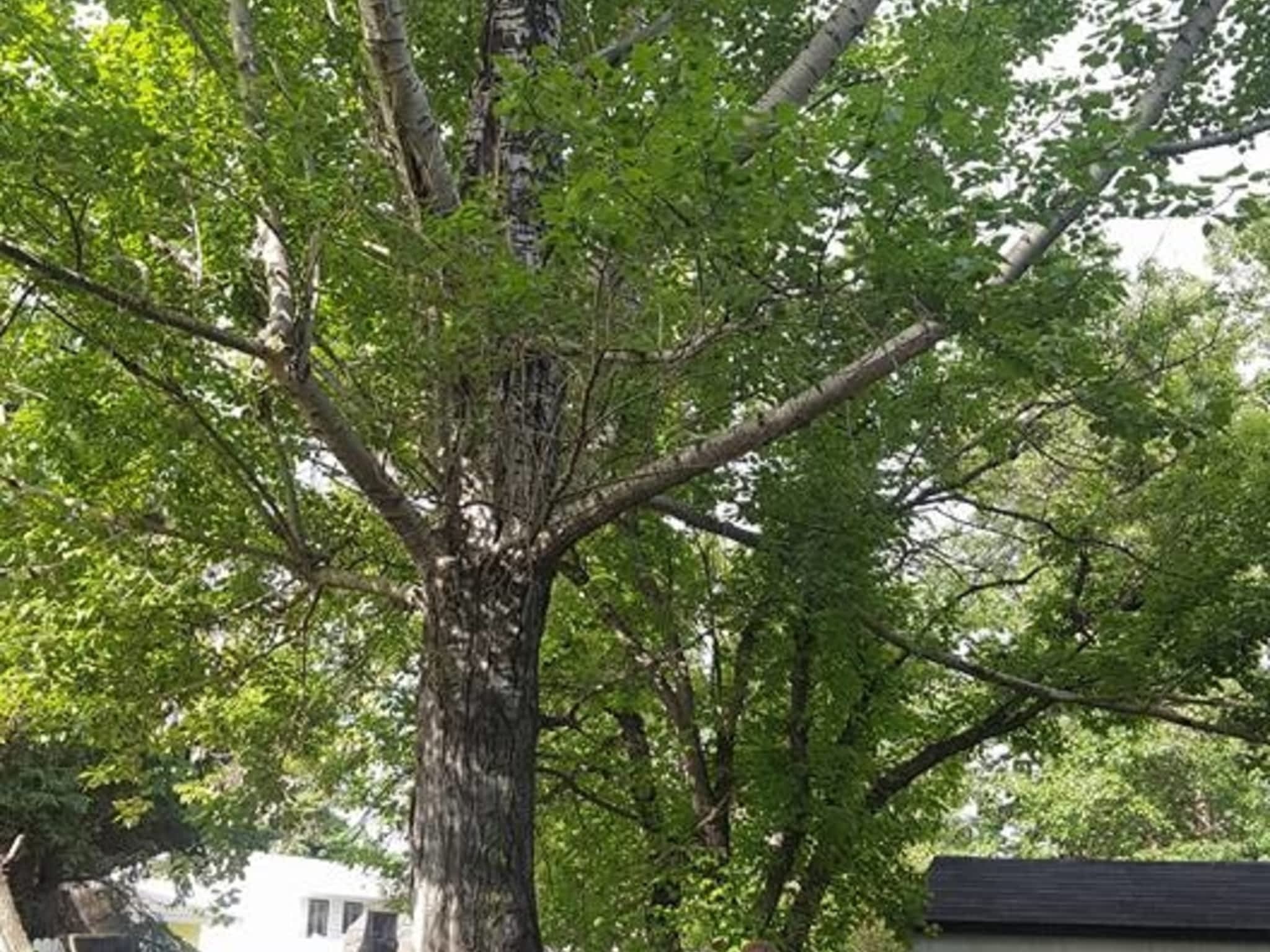 photo Borderline Services Ltd