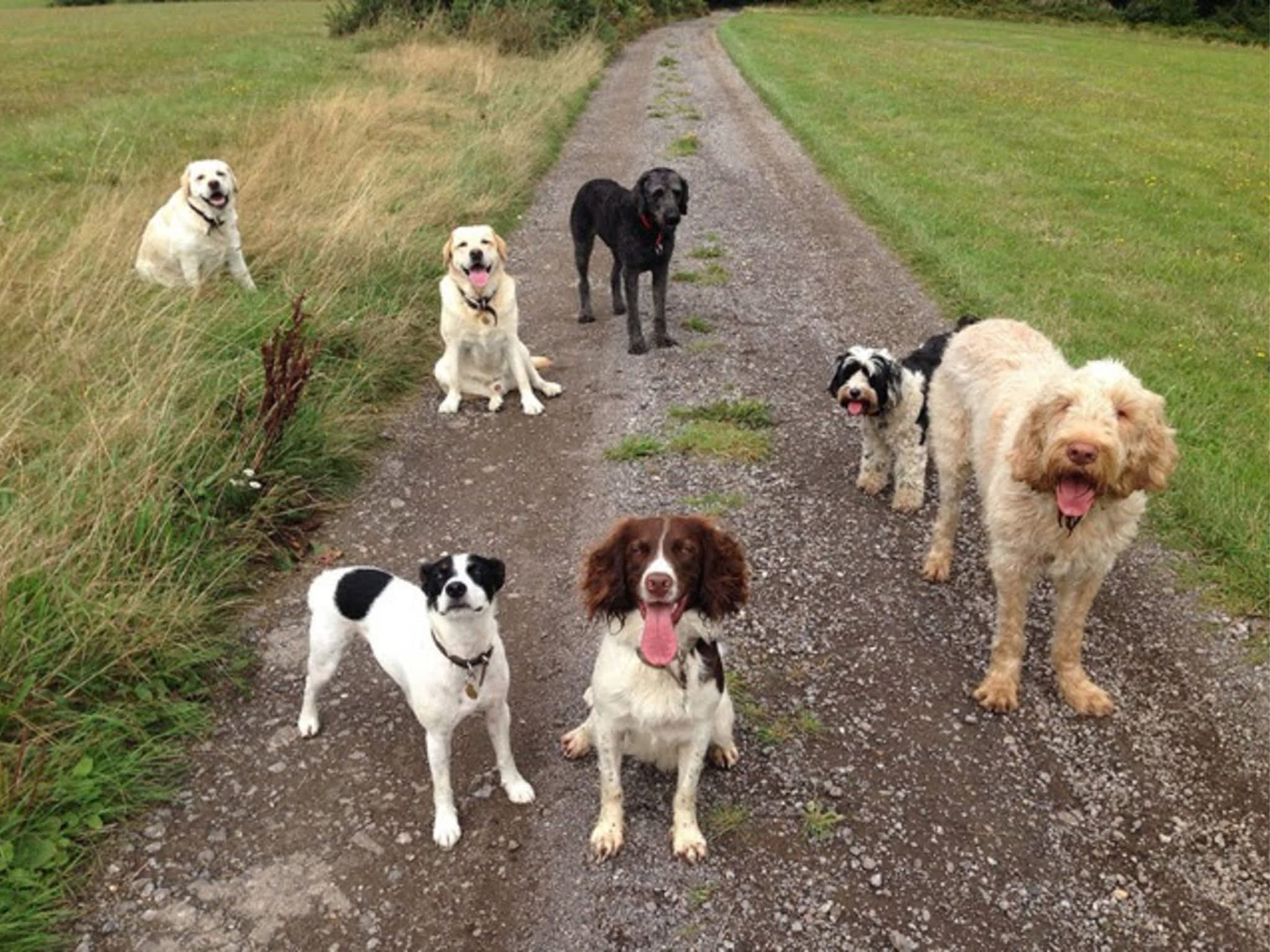 photo Monster Minder