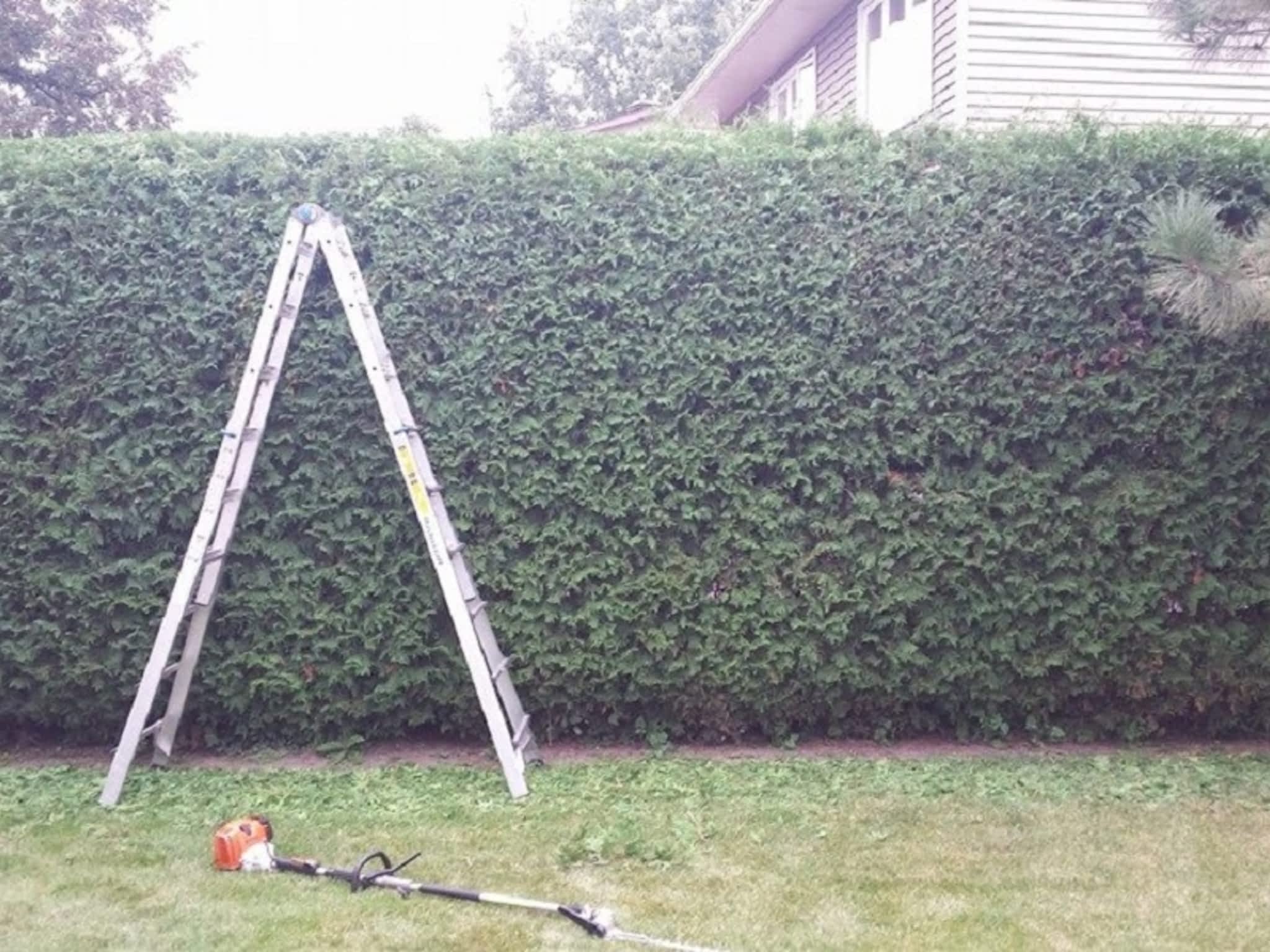 photo Green Machine Ottawa Hedge Trimming