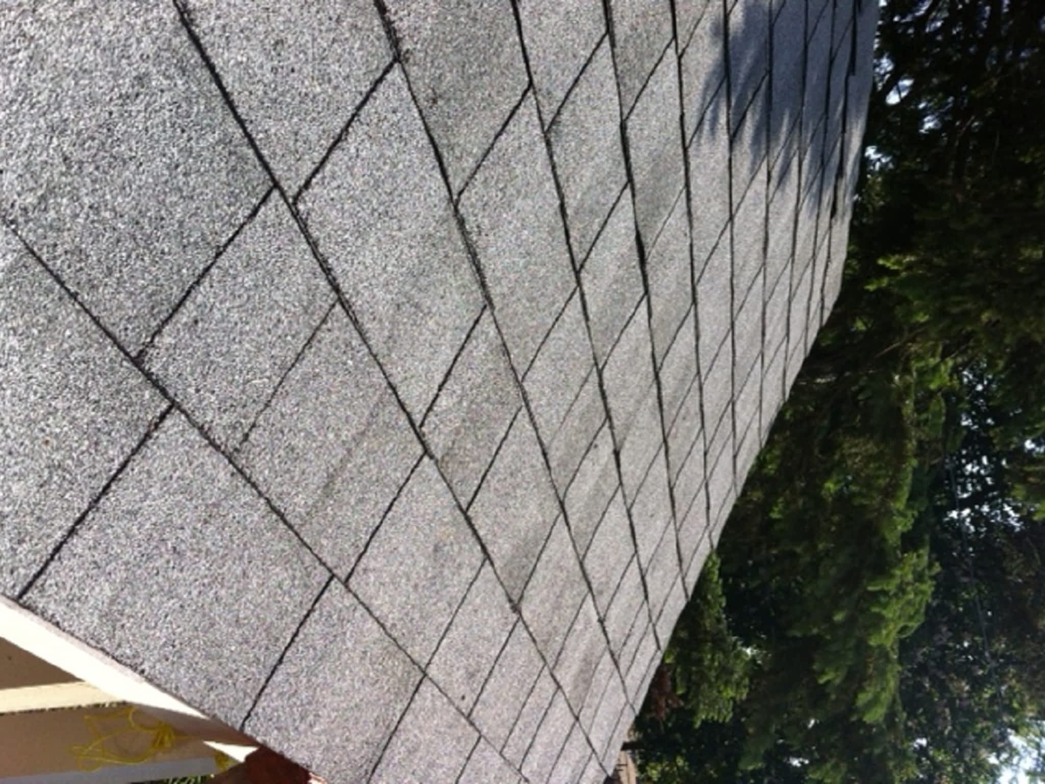 photo Avalos Construction