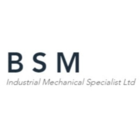 B S M Industrial Mechanical Specialists Ltd - Steel Erectors