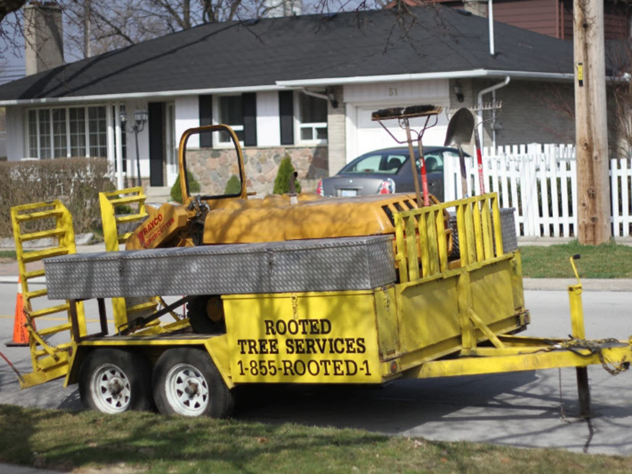 photo Rooted Tree Services