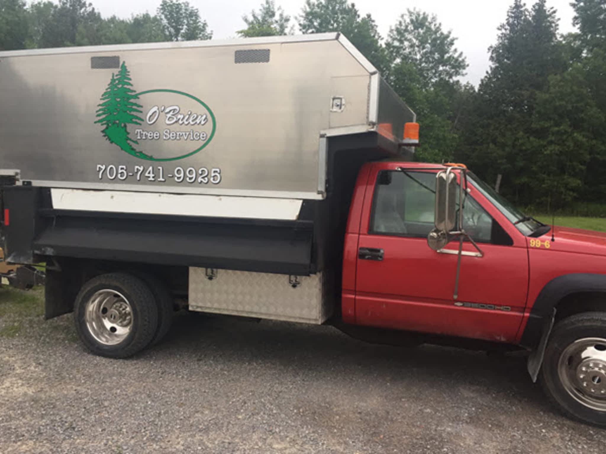 photo O'Brien tree services