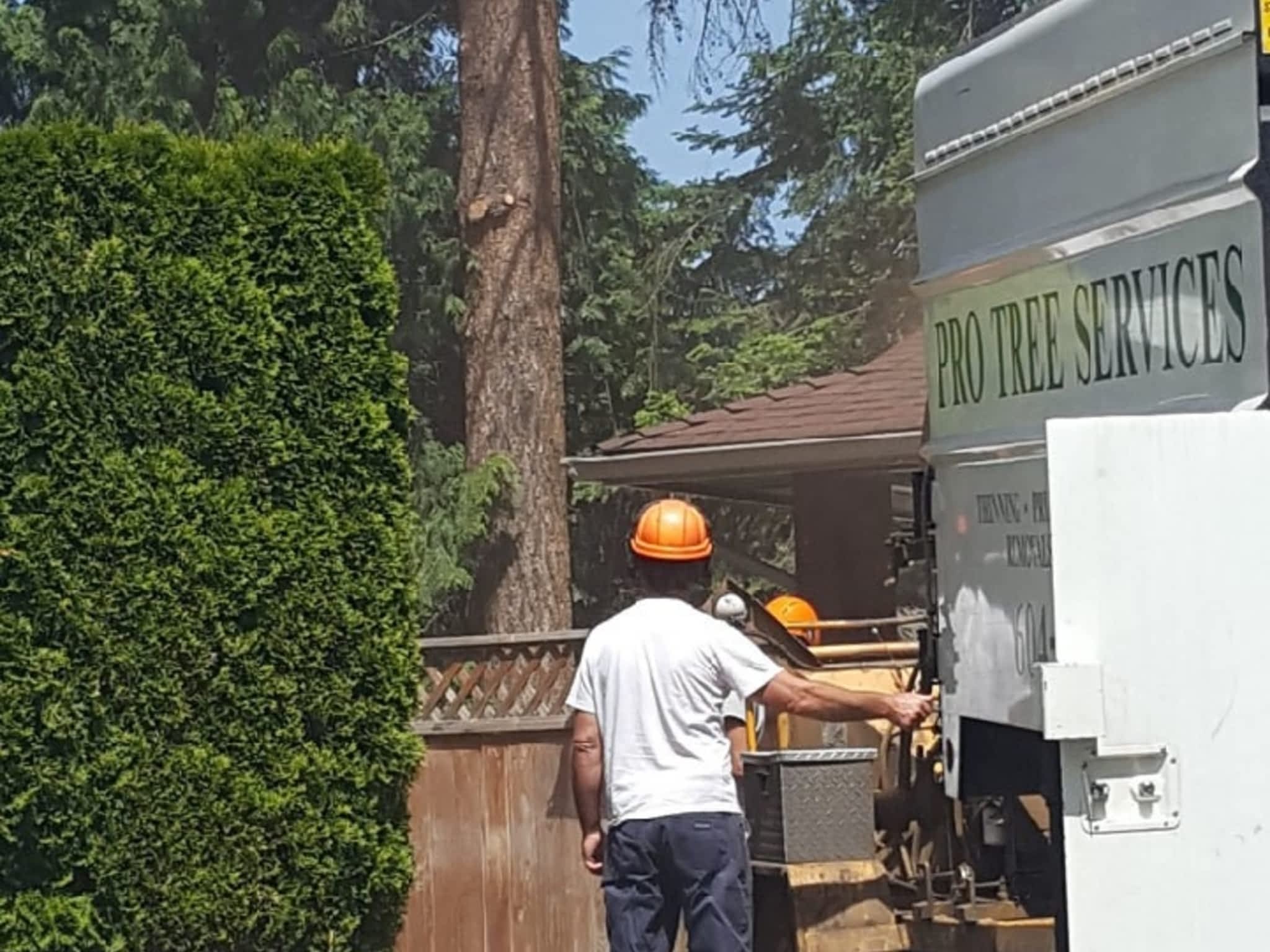 photo Pro Tree Services