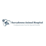 View Barrydowne Animal Hospital’s Spanish profile