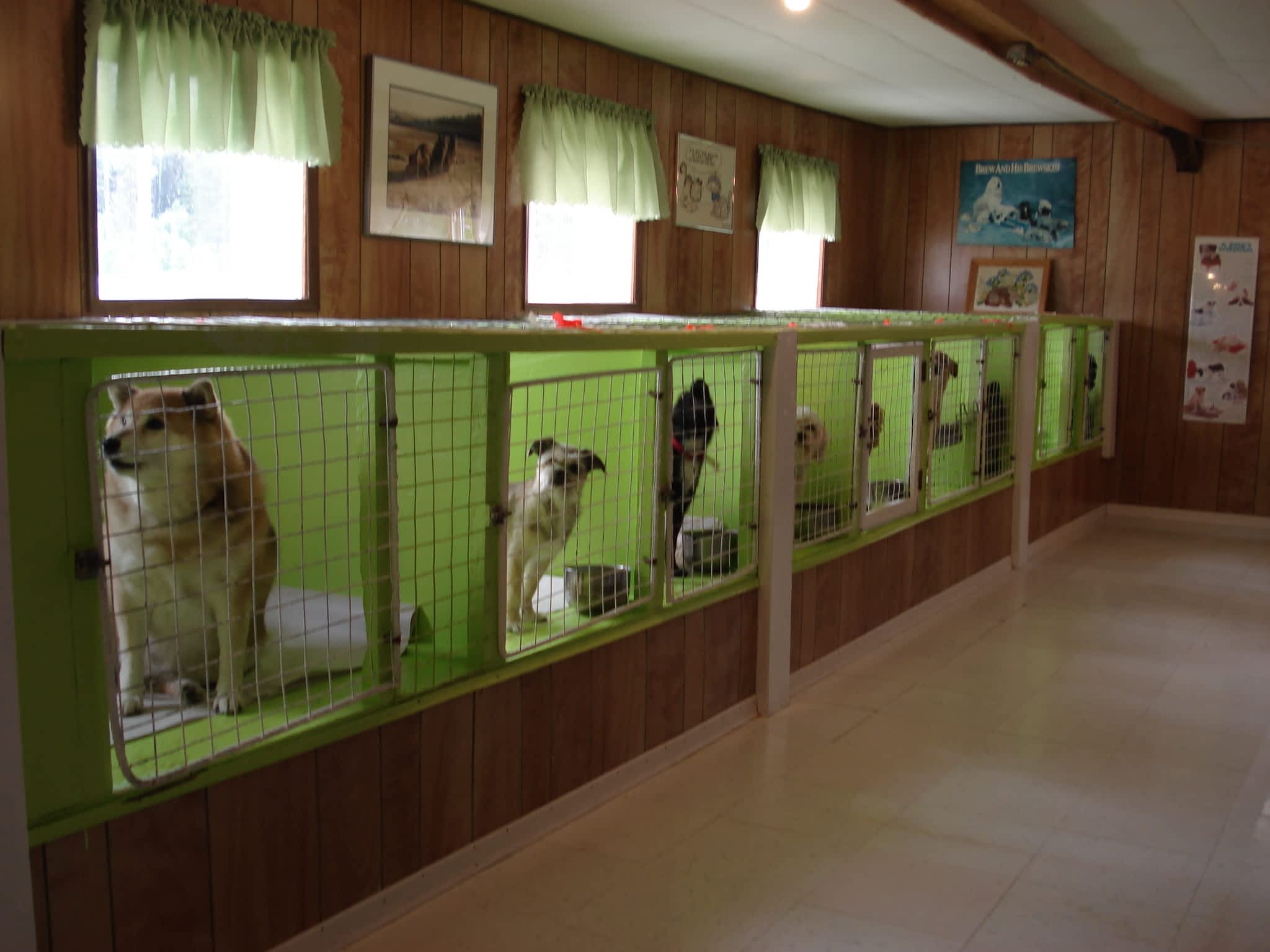 Mackye Kennels Prince BC 7955 Old Summit Lake Rd Canpages