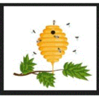 Bergy's Honey - Logo