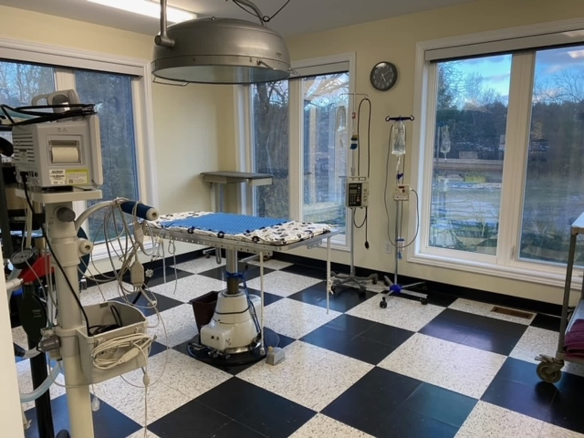 photo Gull River Veterinary Services