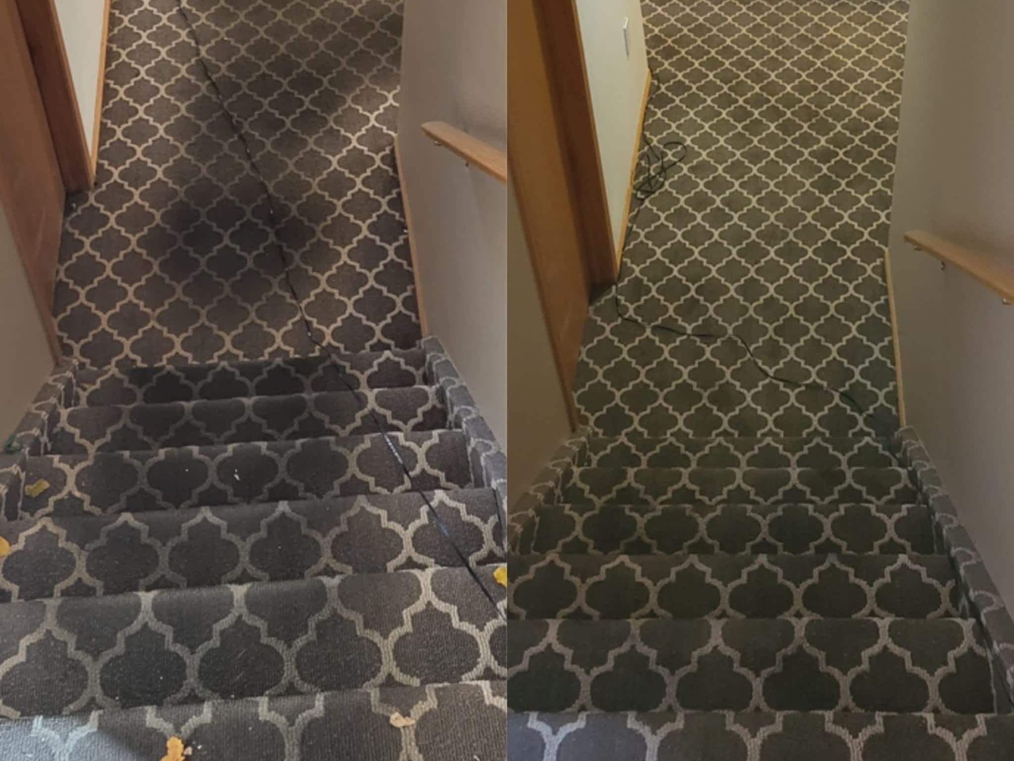 photo Green Hippo Carpet and Floor Cleaning