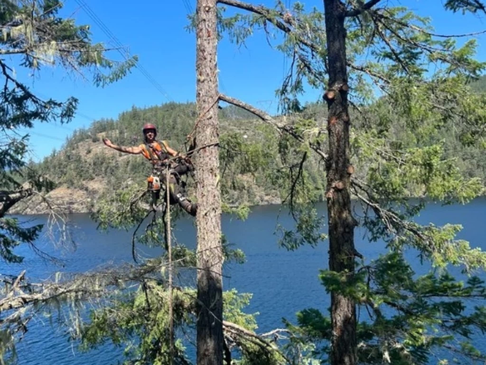 photo Valhalla Falling & Tree Services