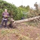 Nuthatches Tree Service - Service d'entretien d'arbres