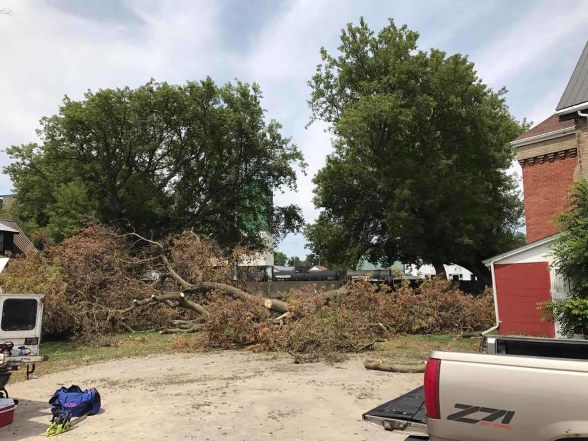 photo Redneck Tree Removal