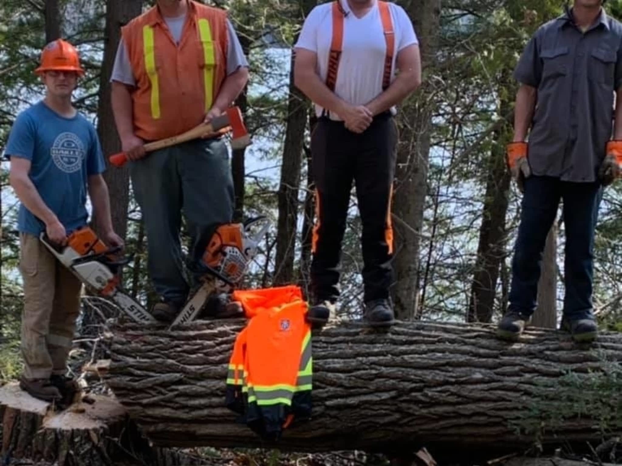 photo Sargeant Tree Removal