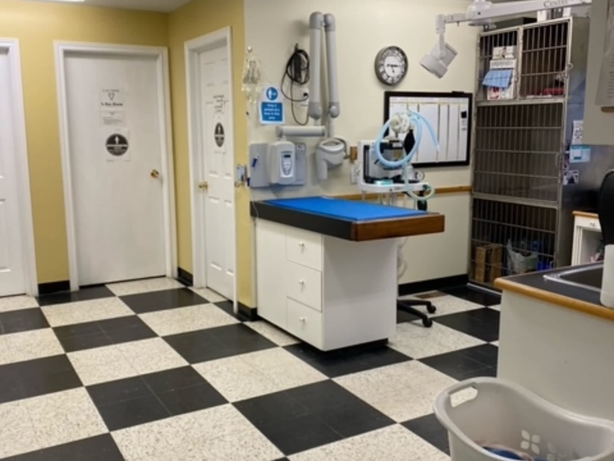 photo Gull River Veterinary Services