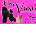 Toilettage Chez Vasco - Pet Grooming, Clipping & Washing