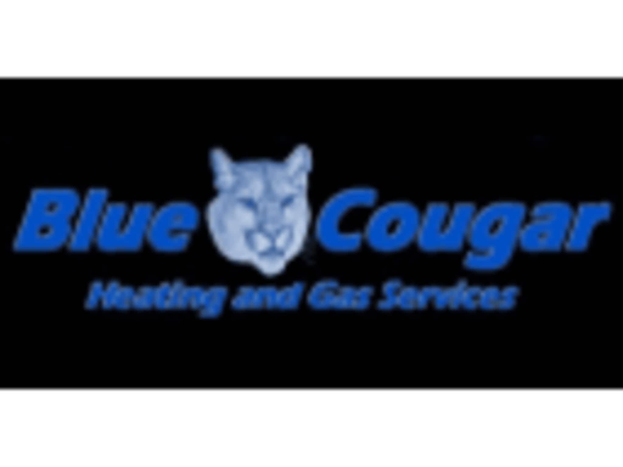 photo Blue Cougar Heating and Gas - TSBC No. LGA0202297