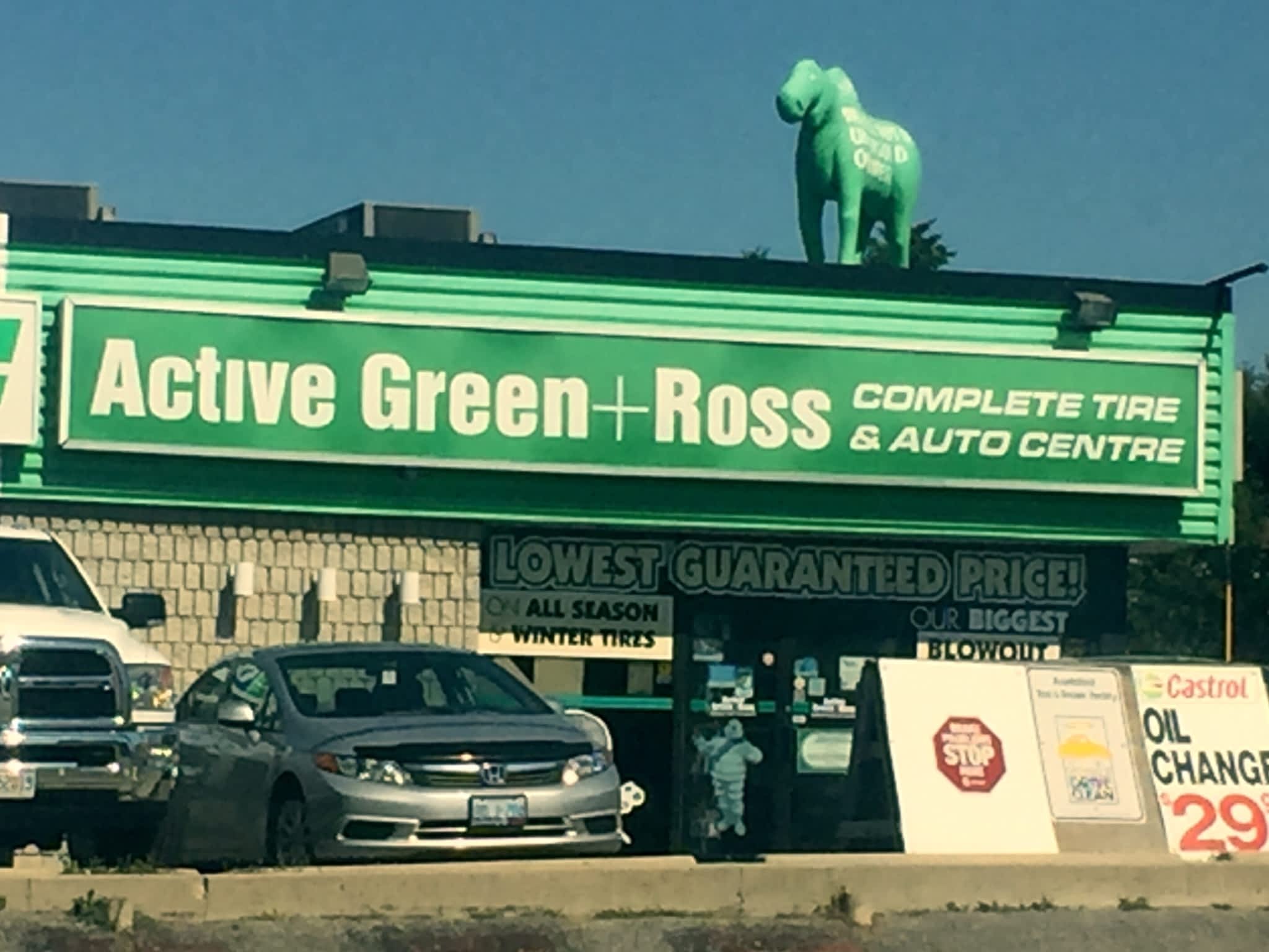 photo Active Green Ross