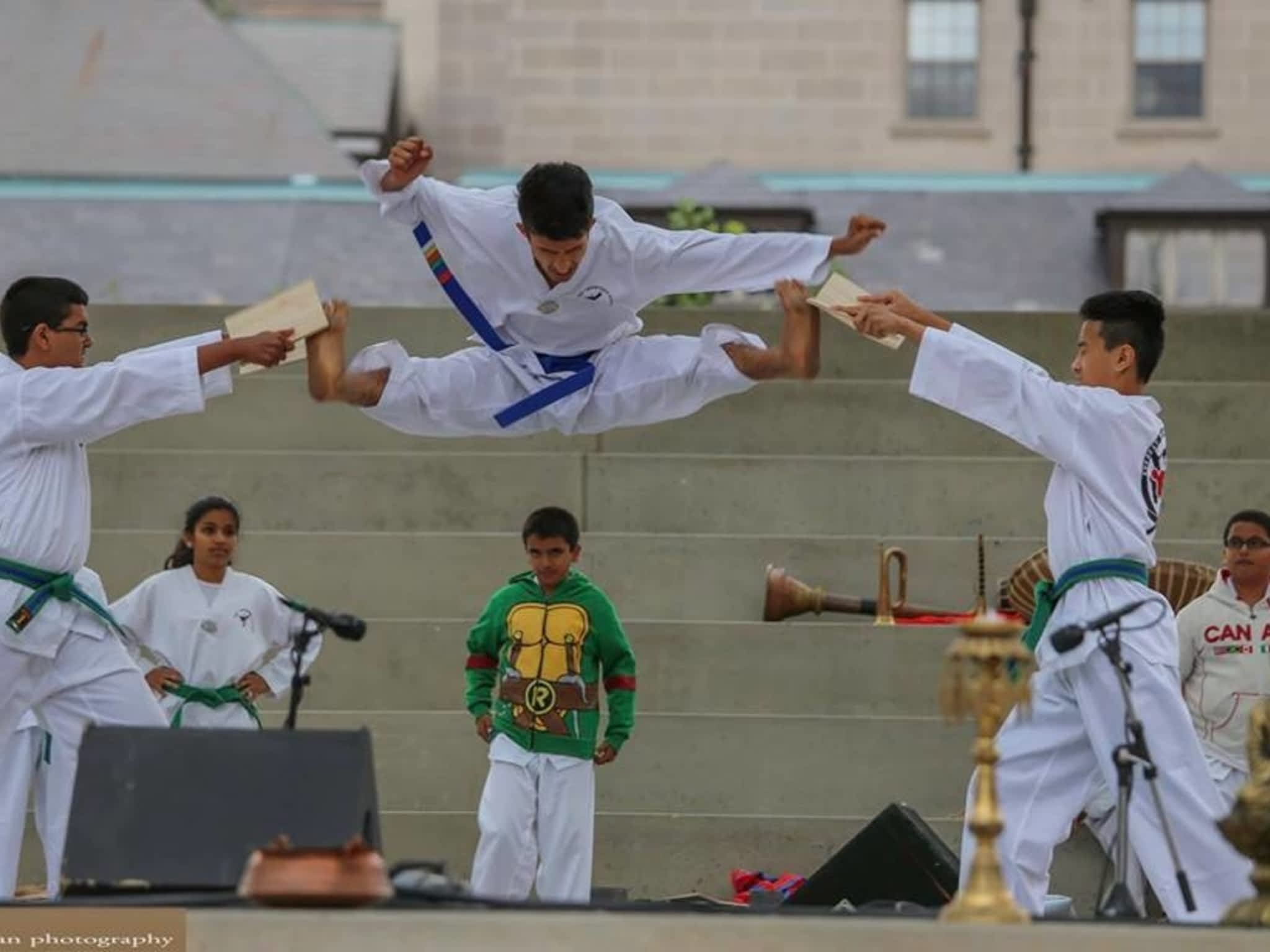 photo Everest Taekwondo Academy