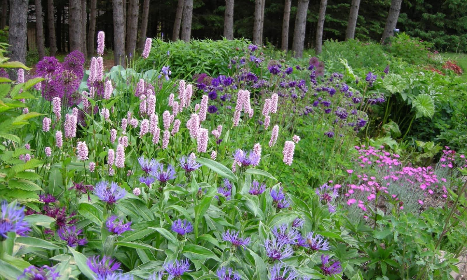 Plant Paradise Country Gardens Opening Hours 16258 Humber Station Rd Caledon East On