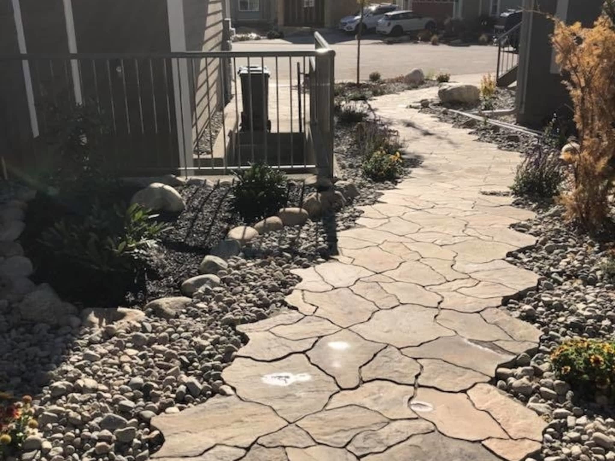 photo Evolutionary Wallscape