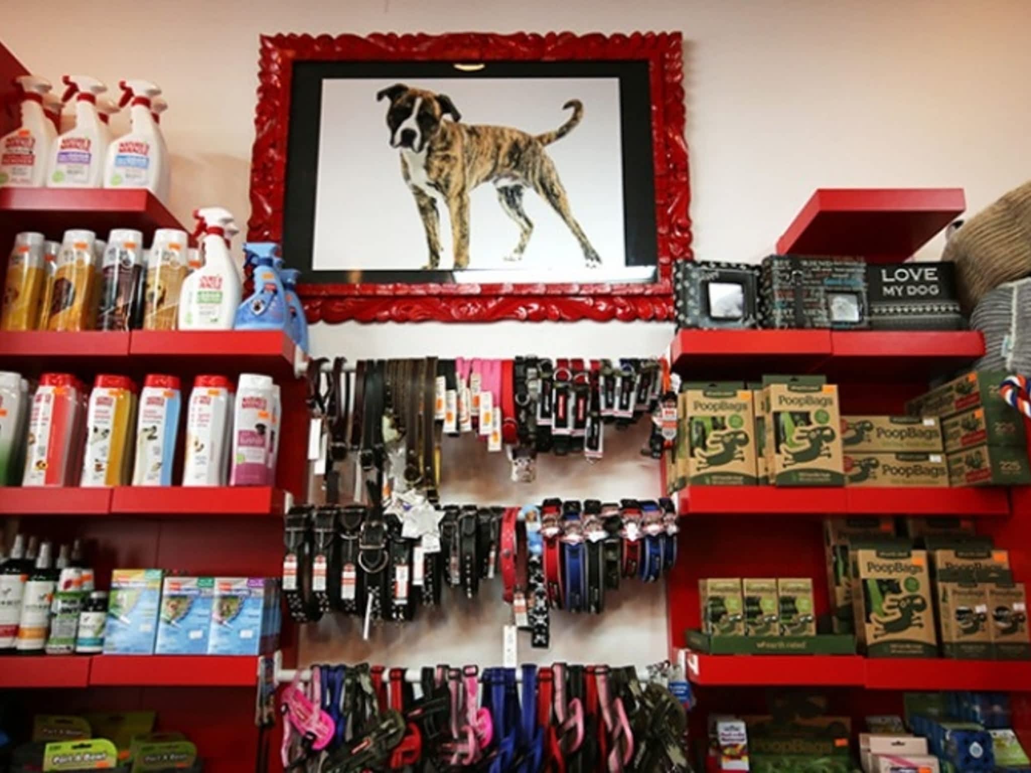 photo EZ Dog Grooming & Pet Supplies