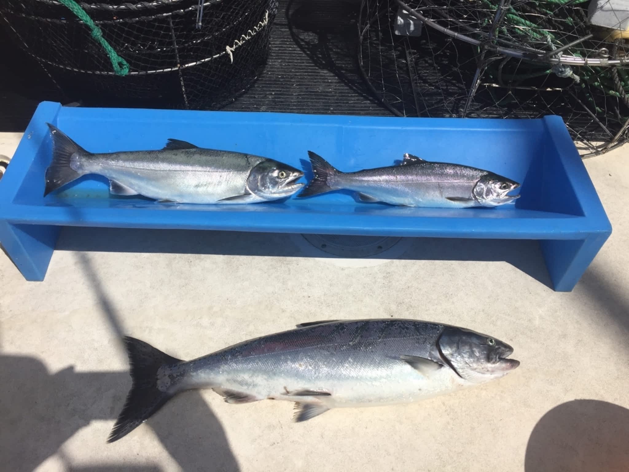 photo First Fish Charters