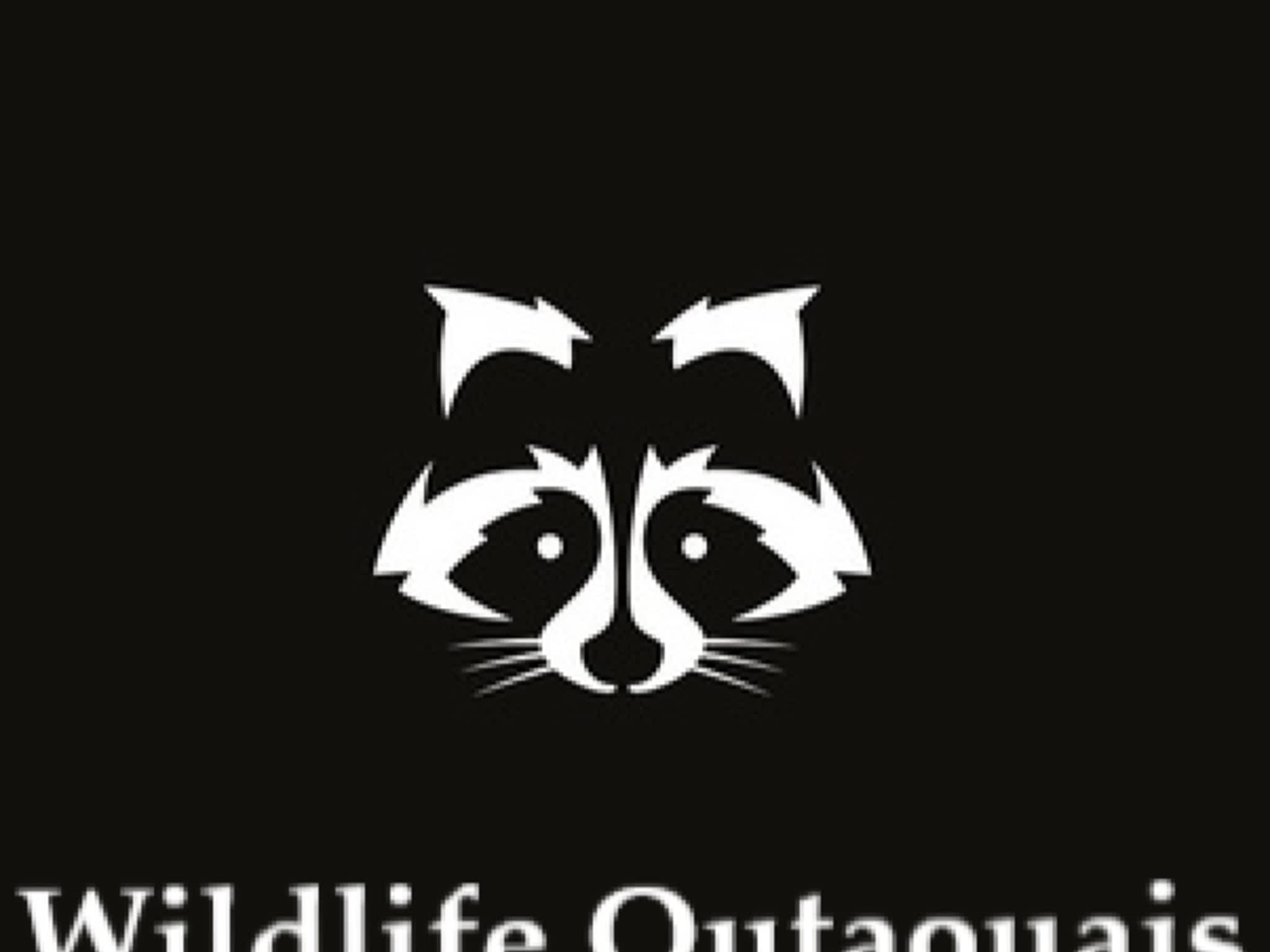 photo Extermination Wildlife Outaouais - Exterminateur Gatineau