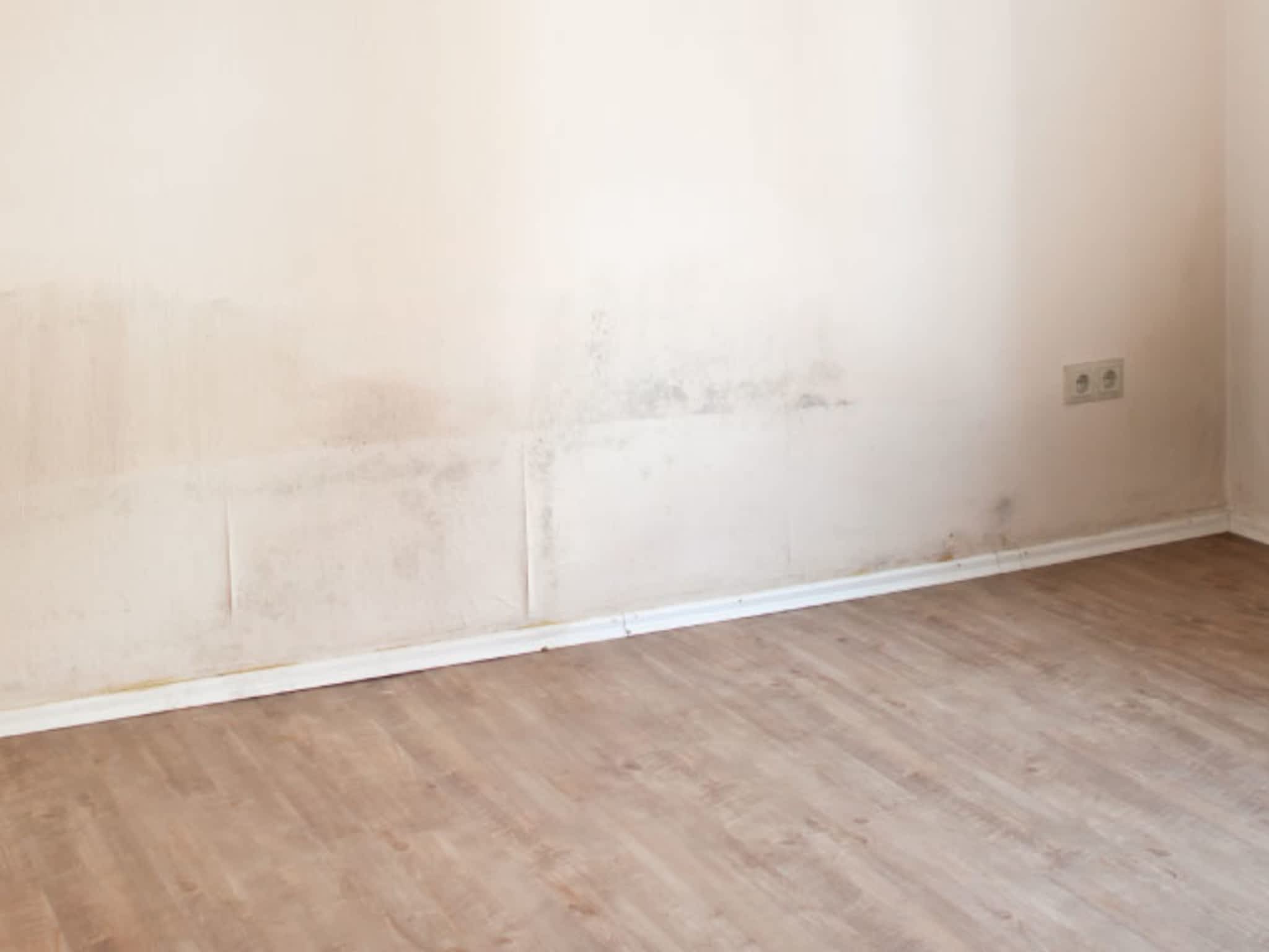 photo Cascade Environmental Consulting Ltd