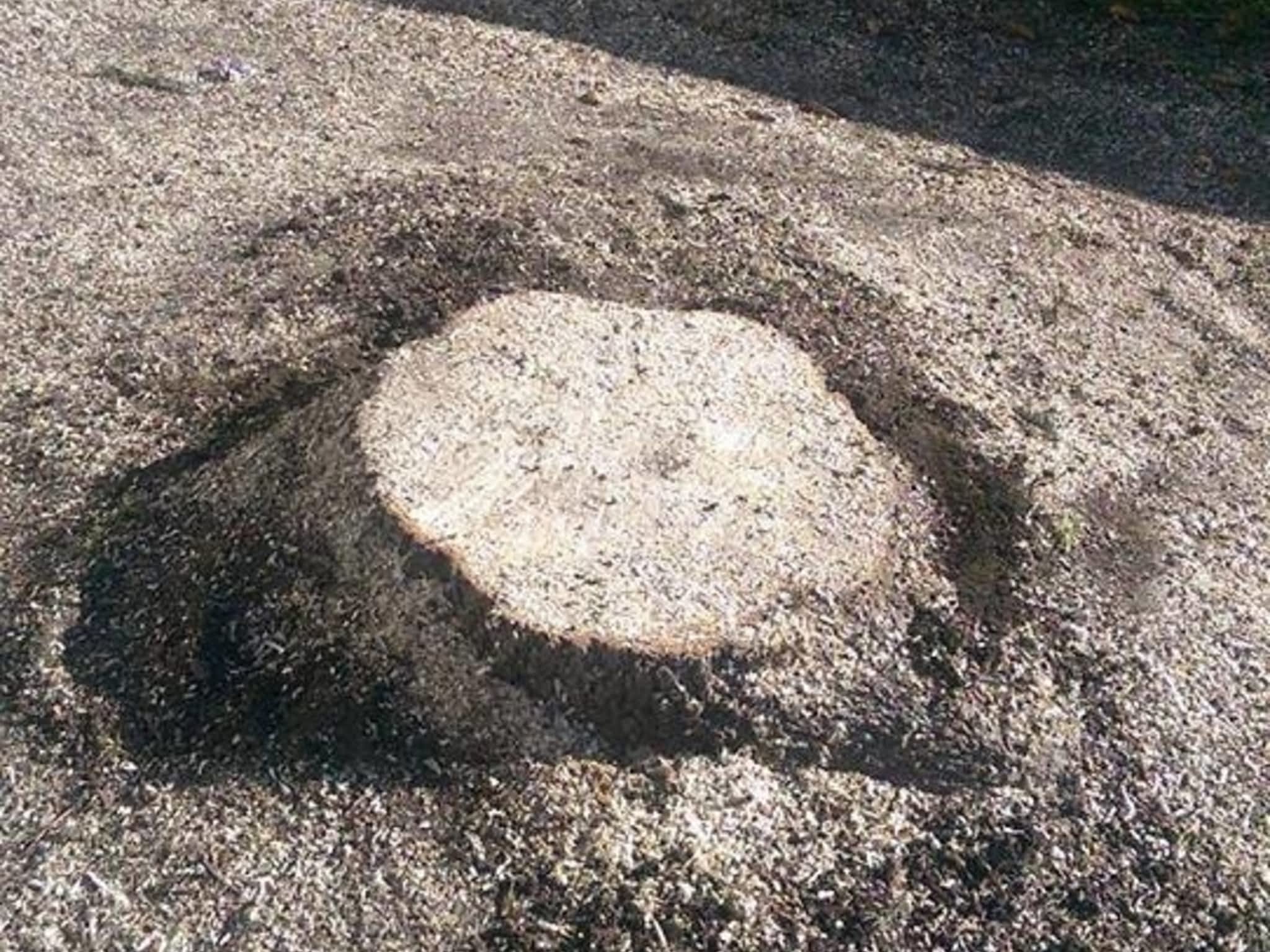 photo Stubborn Stump Grinding and Tree Care