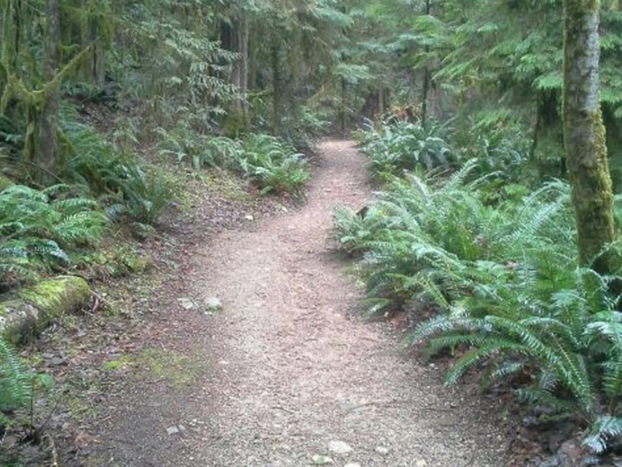 photo Small World Excavating