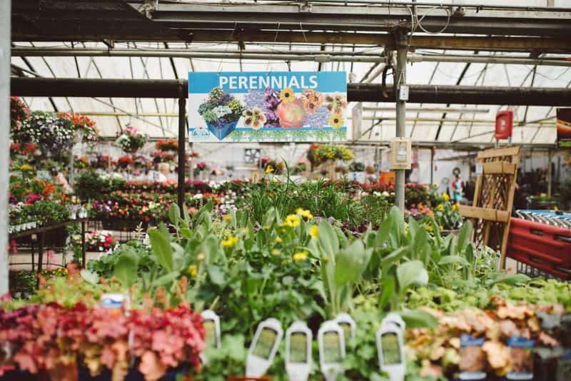 Golden Acre Garden Centre Calgary, AB 620 Goddard Ave NE Canpages