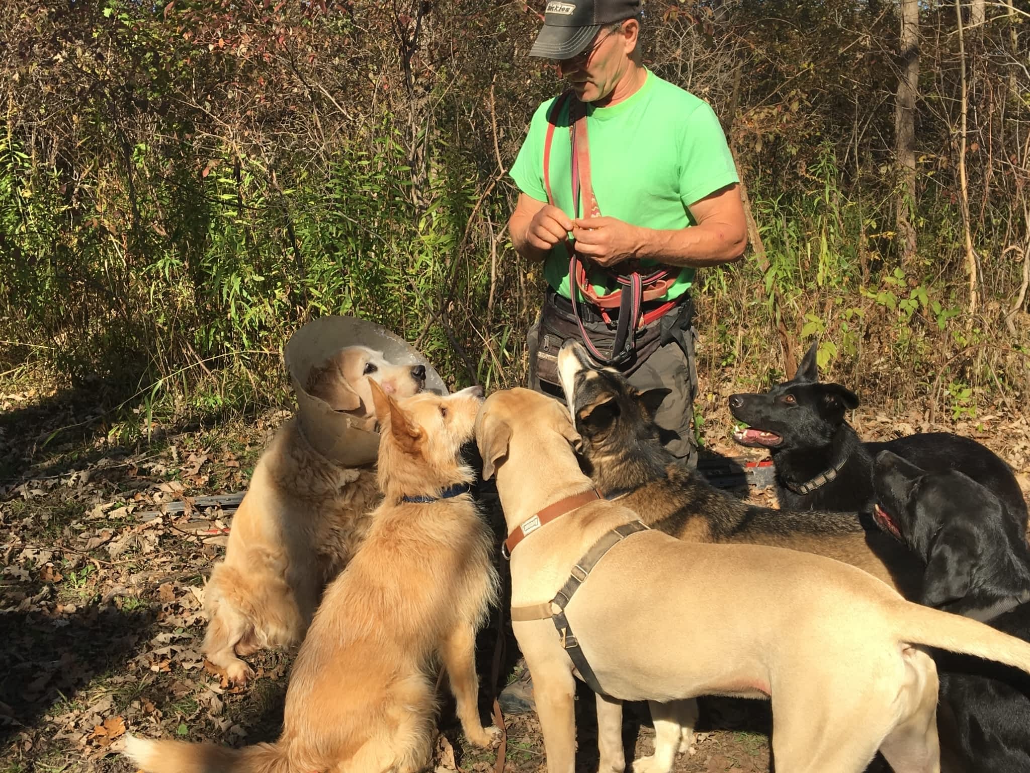 photo Tail Waggin' Dog Ranch Inc