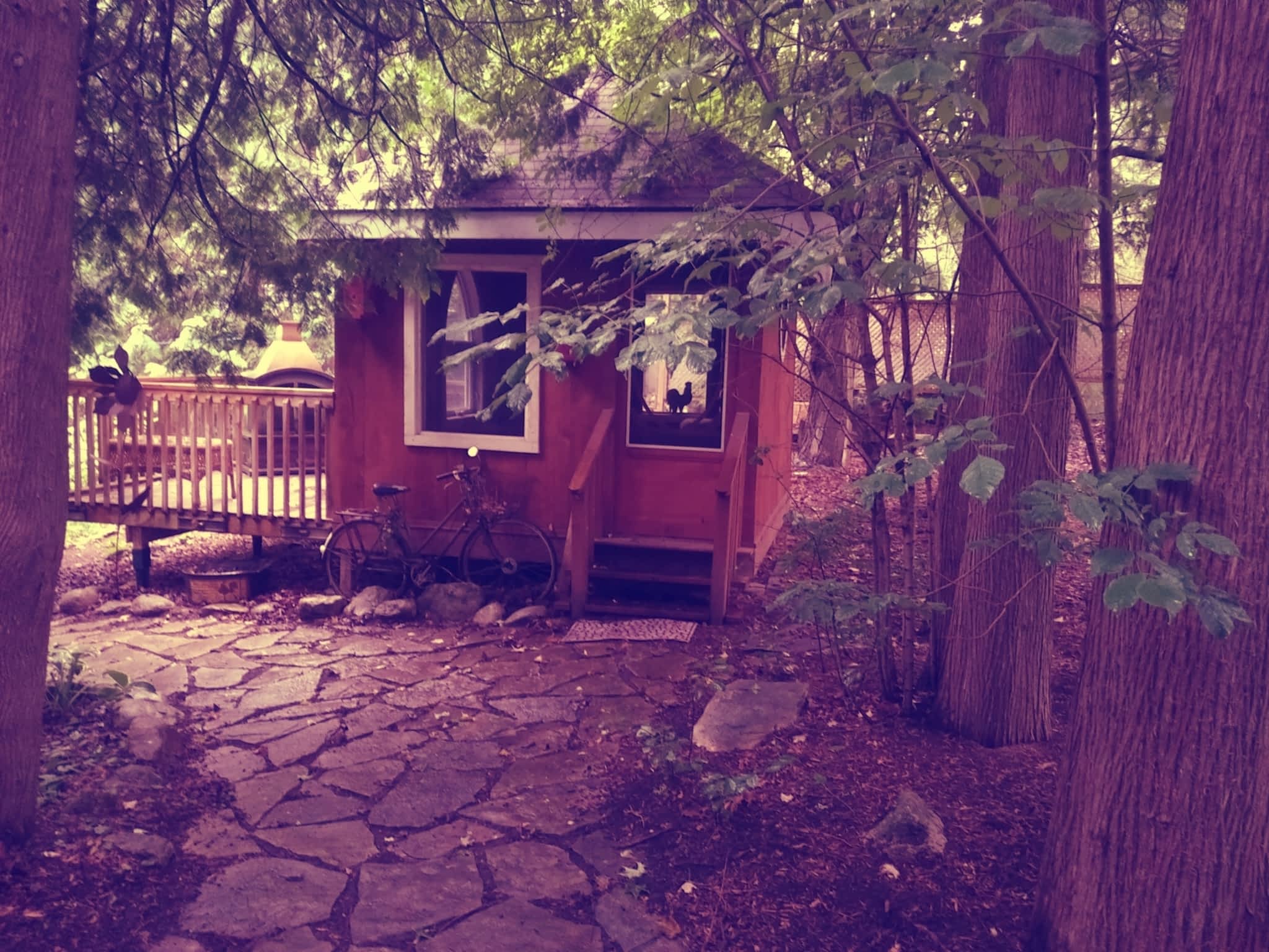 photo The Enchanted Cottage