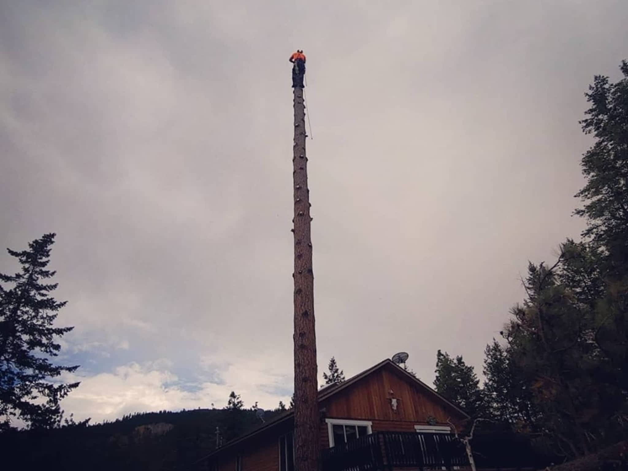 photo Axe Point Tree Services